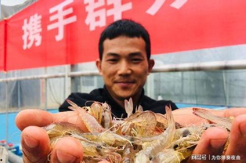 新疆海鲜的真实爆料视频,新鲜美味背后的故事 第3张 新疆海鲜的真实爆料视频,新鲜美味背后的故事 第3张
