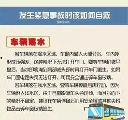 阳江今日爆料最新消息查询,揭秘今日热点事件真相 第2张 阳江今日爆料最新消息查询,揭秘今日热点事件真相 第2张