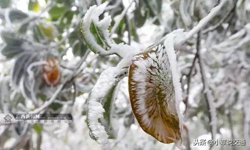 银枝最新爆料,揭秘娱乐圈背后的惊人真相 第3张 银枝最新爆料,揭秘娱乐圈背后的惊人真相 第3张